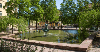Bjurfors Solna