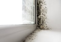 Besiktningsklausul | Begränsad eller öppen – vad är skillnaden?