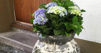 Caroline Wassberg Fast