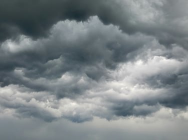 Efter stormrekordet: Hur mycket oväder tål din plånbok?