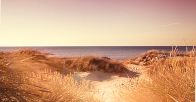 Erik Olsson Vellinge, Skanör & Näset