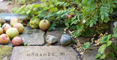 Fastighetsbyrån Höganäs