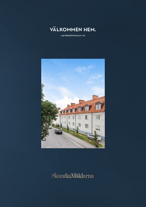 Alexander Bergh exempelprospekt