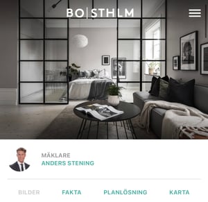 Anders Stening exempelprospekt