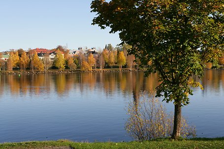 Mäklarringen Umeå
